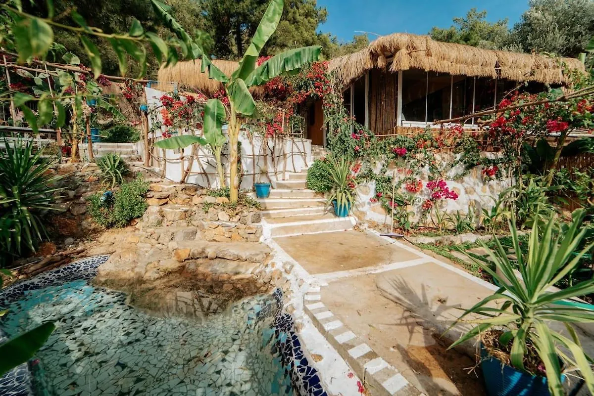Ξενοδοχείο με διαμερίσματα Begonvilla Bungalows Φετιγιέ