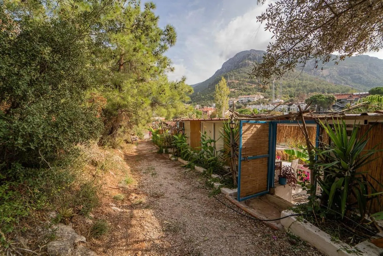 Begonvilla Bungalows Φετιγιέ Τουρκία